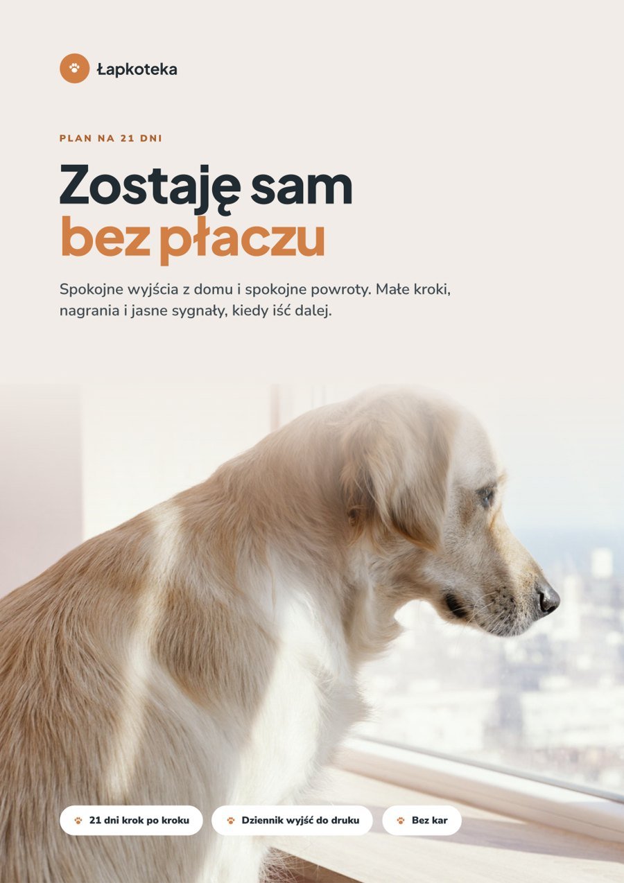 Okładka poradnika Zostaję sam bez płaczu