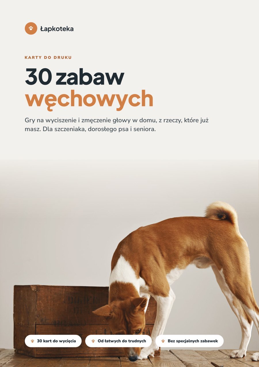 Okładka poradnika 30 zabaw węchowych i umysłowych