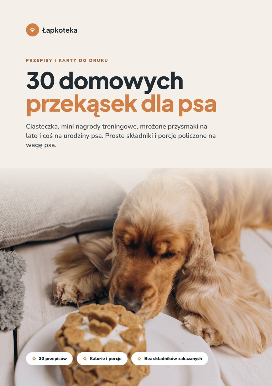 Okładka poradnika 30 domowych przekąsek dla psa