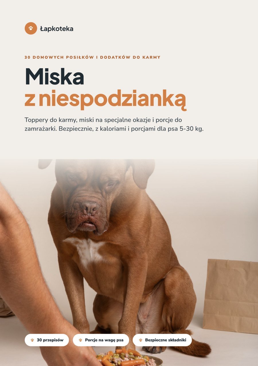 Okładka poradnika Miska z niespodzianką