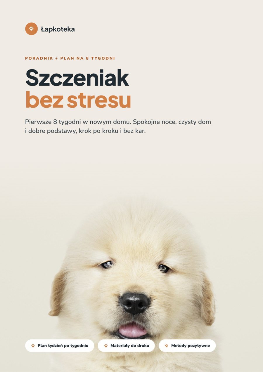 Okładka poradnika Szczeniak bez stresu
