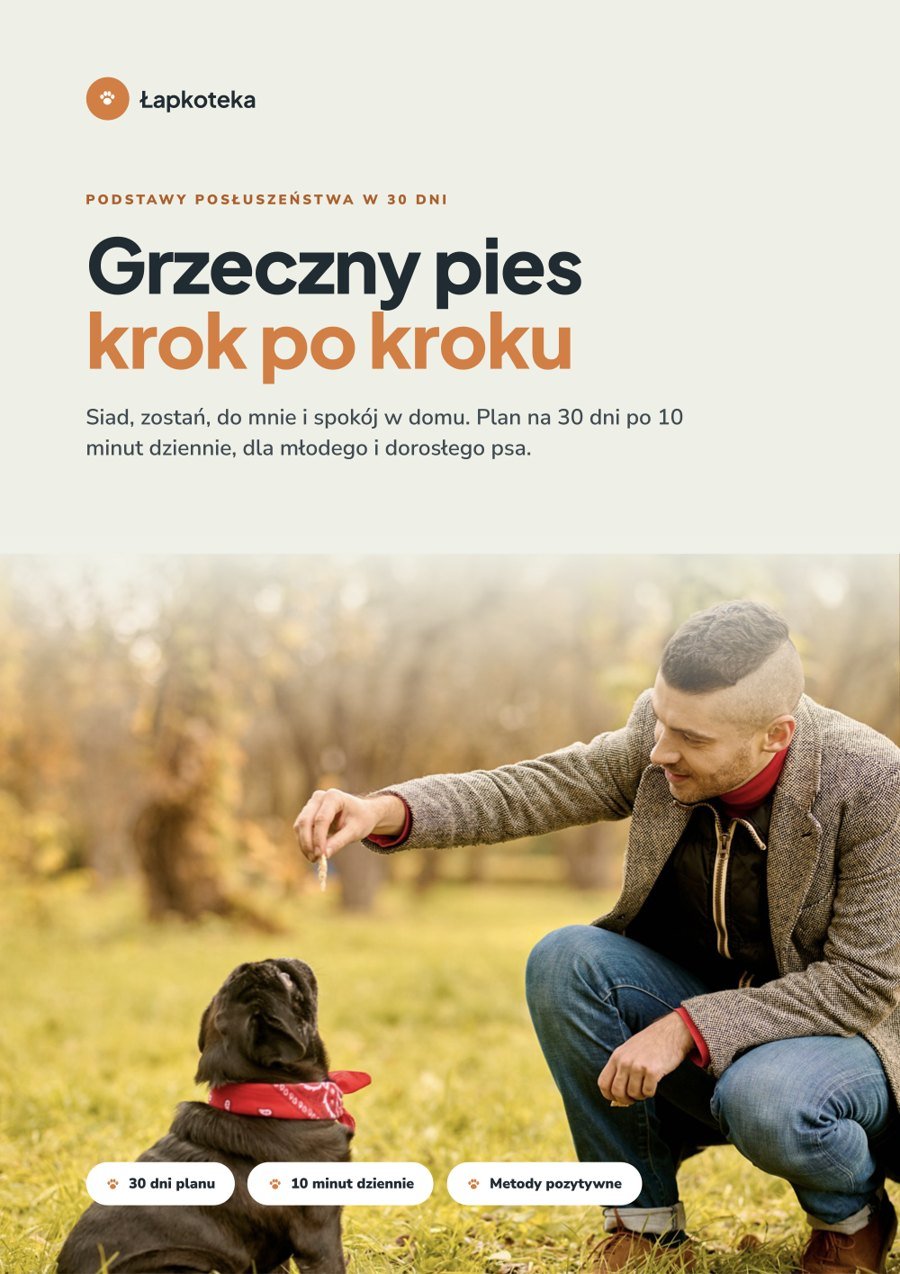 Okładka poradnika Grzeczny pies krok po kroku