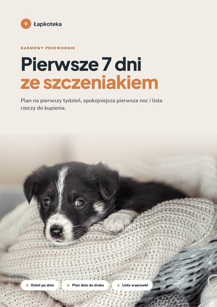 Okładka darmowego przewodnika